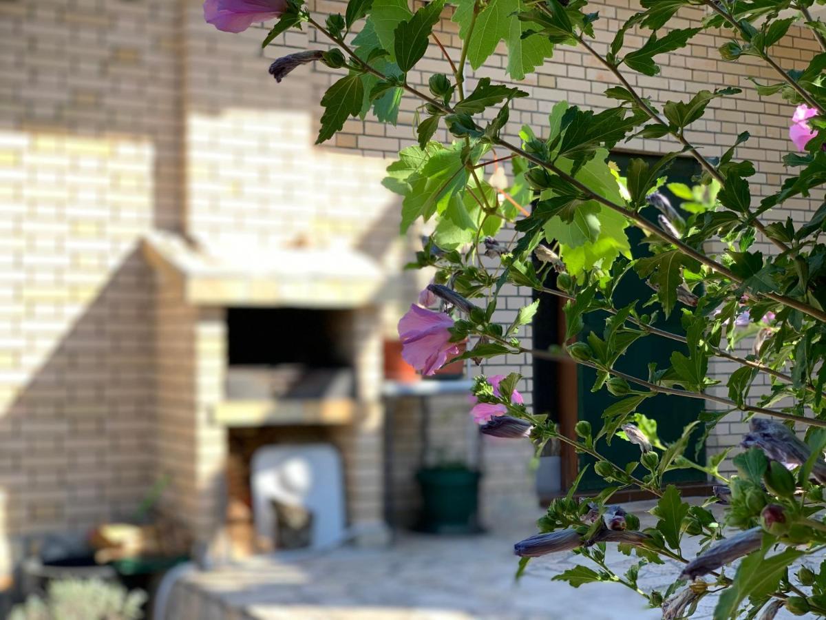 Holiday Home Bratica 乌尔齐尼 外观 照片