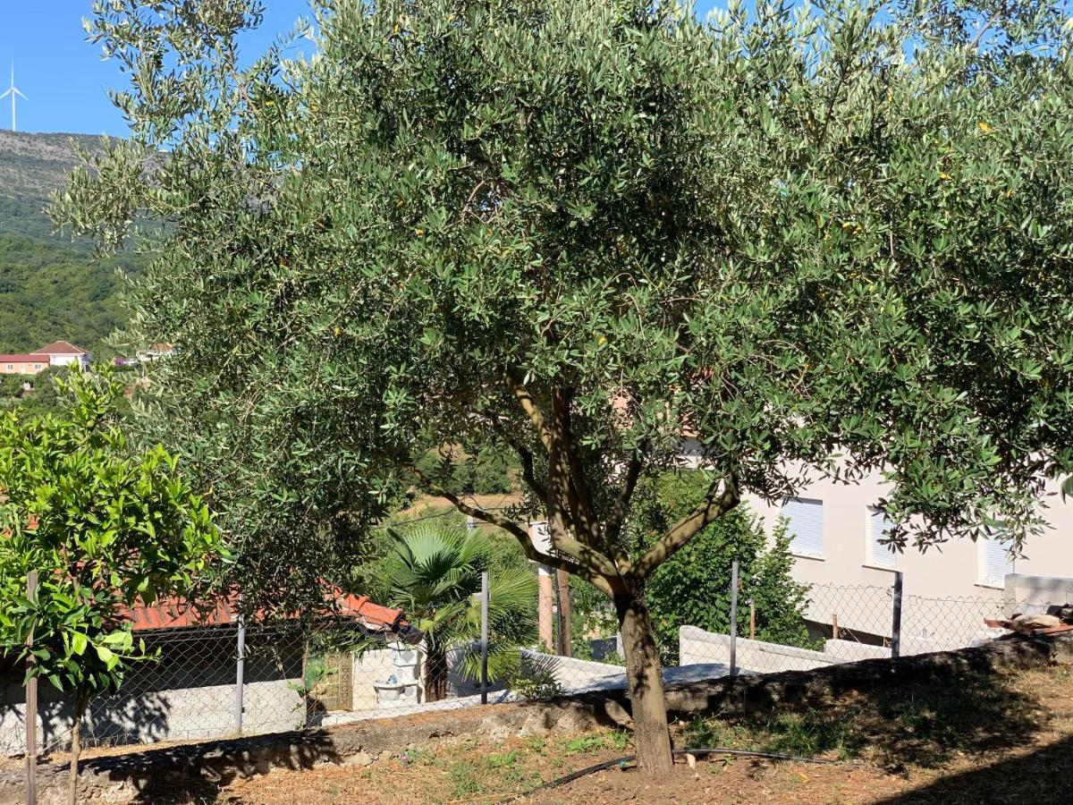 Holiday Home Bratica 乌尔齐尼 外观 照片