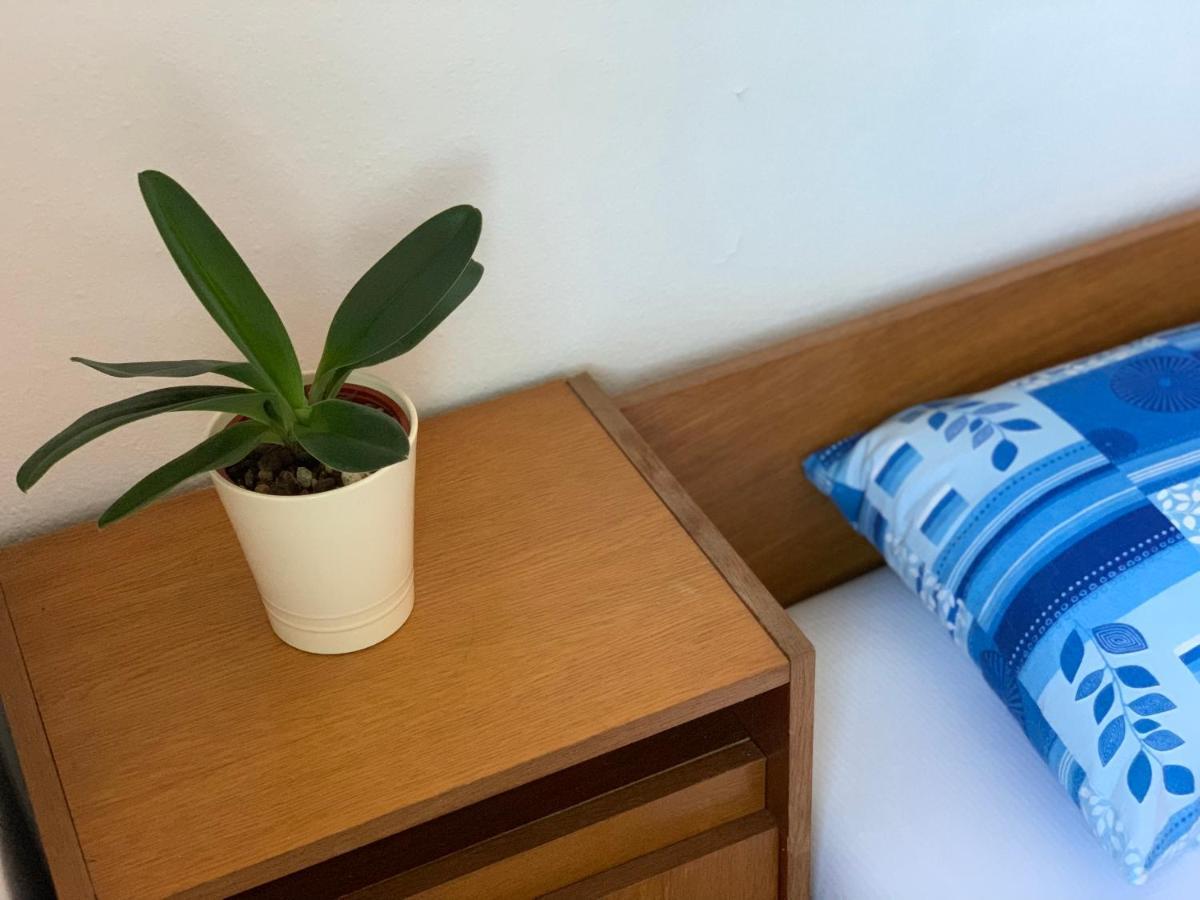 Holiday Home Bratica 乌尔齐尼 外观 照片